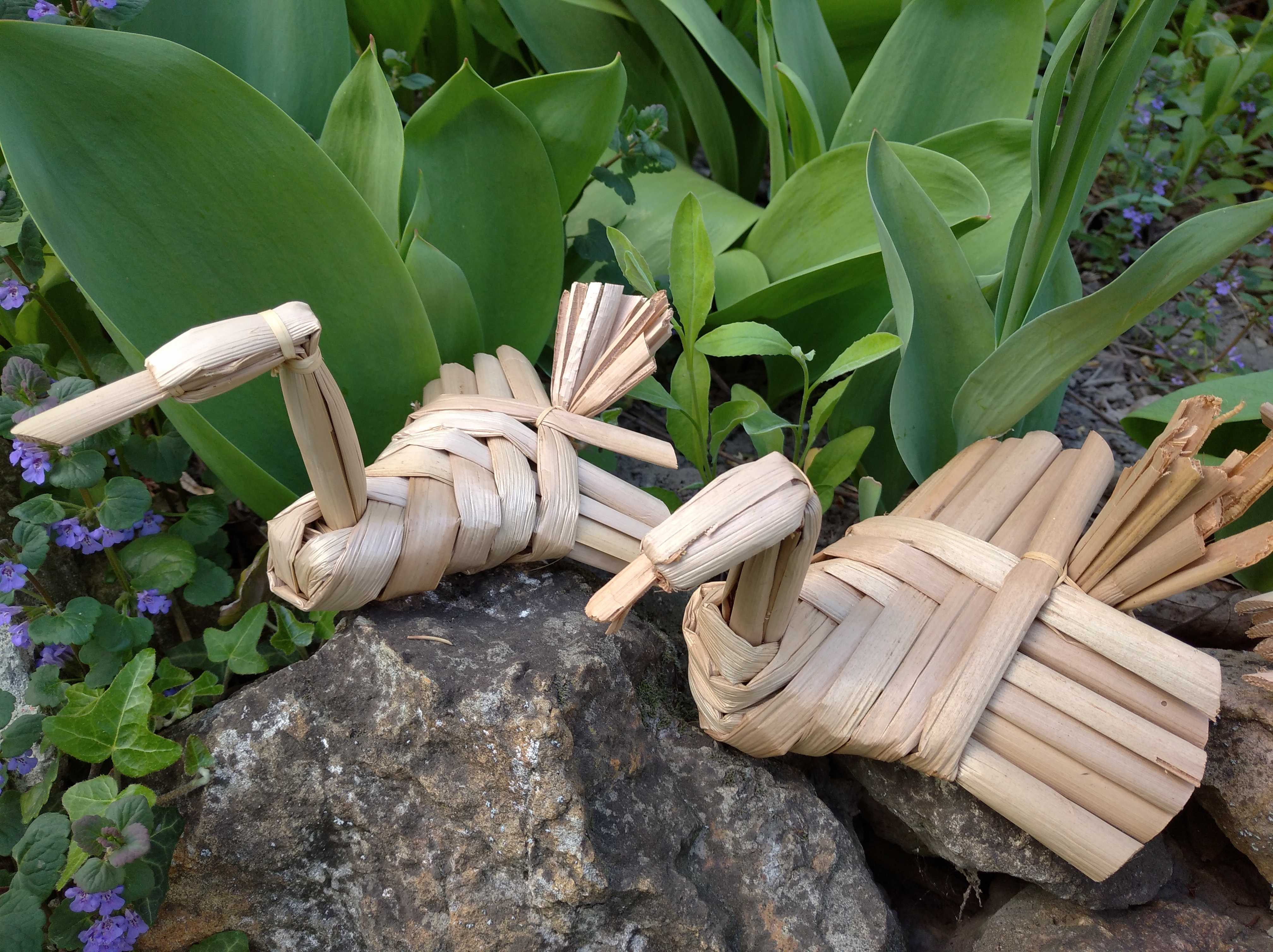 úsztatható madarakb