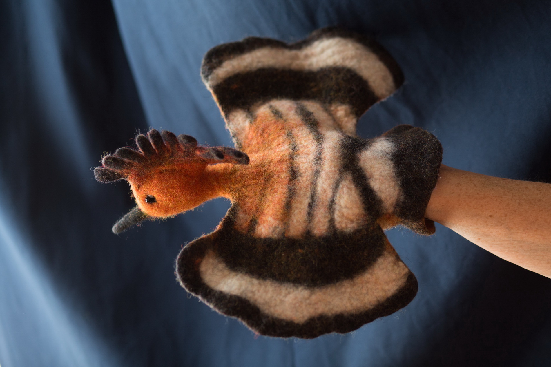 Gera Klári búbosbanka 1