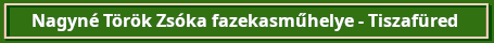 nagynetorokzsokatiszafuredzolddoboz1