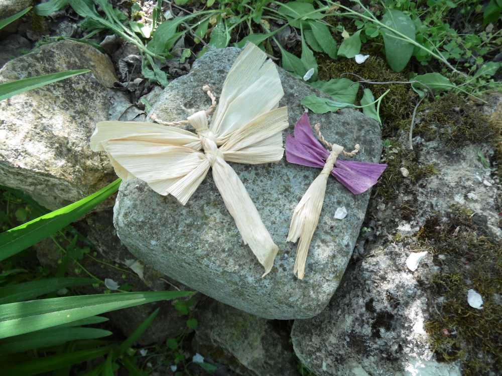 pillangók szitakötőkb