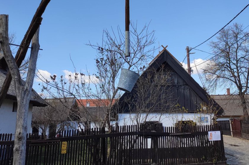 336617461 140555025608094 1398577844340213448 nb